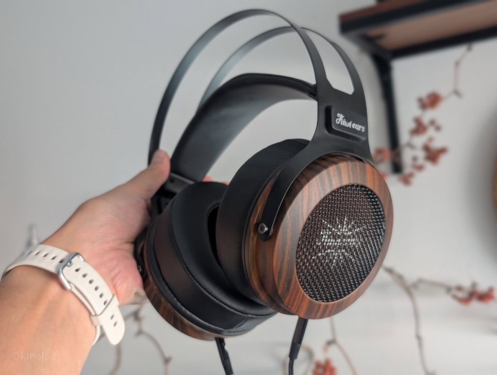 Kiwi Ears Altruvaレビュー｜開放型らしさと50mmDDを活かした