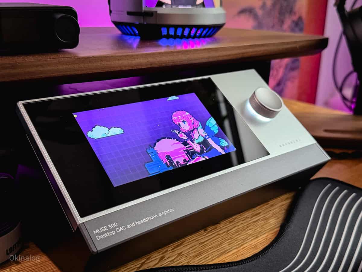 MUSEHIFI MUSE300の美しいディスプレイ